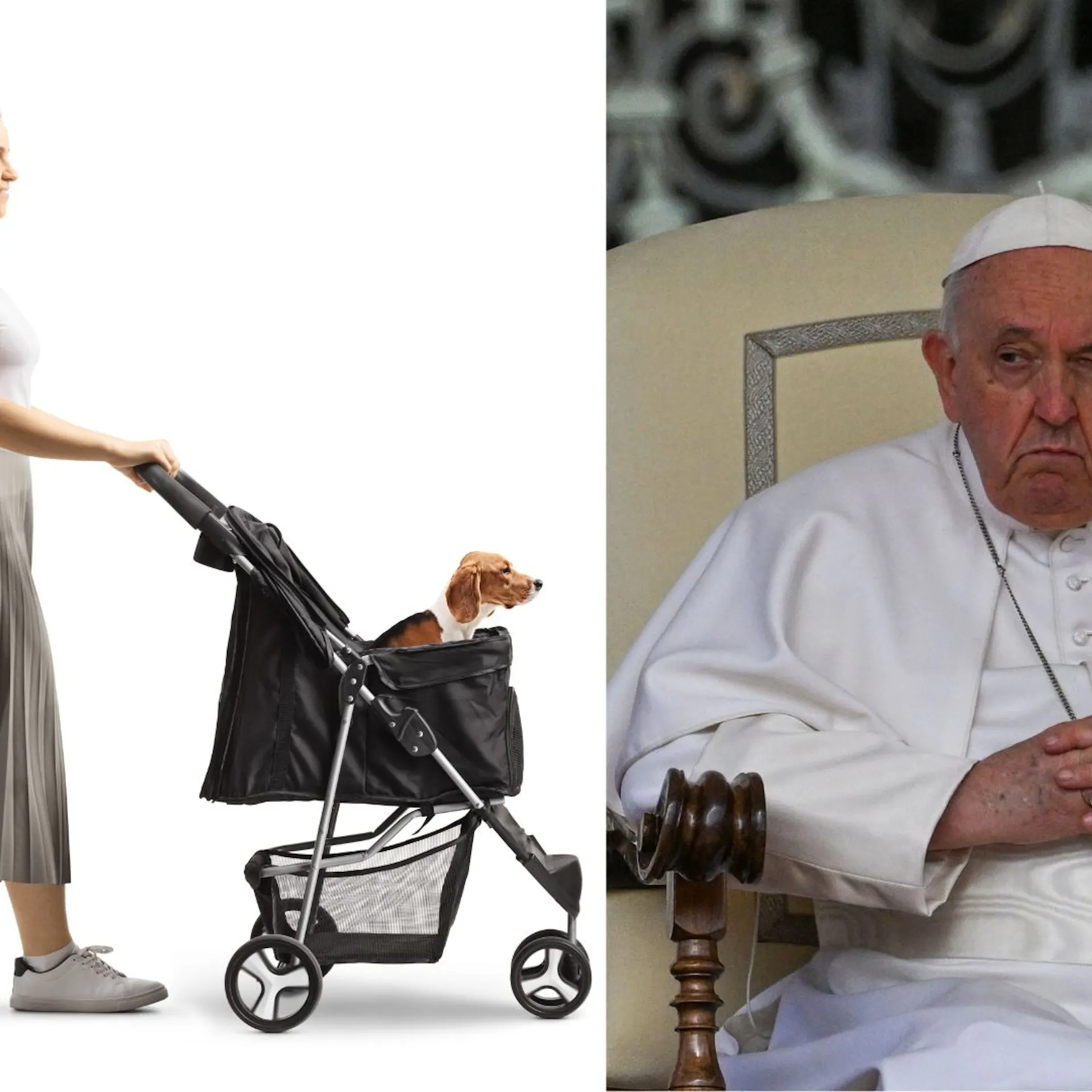 Amen! Pope Francis Smacks Down ‘Dog Moms’