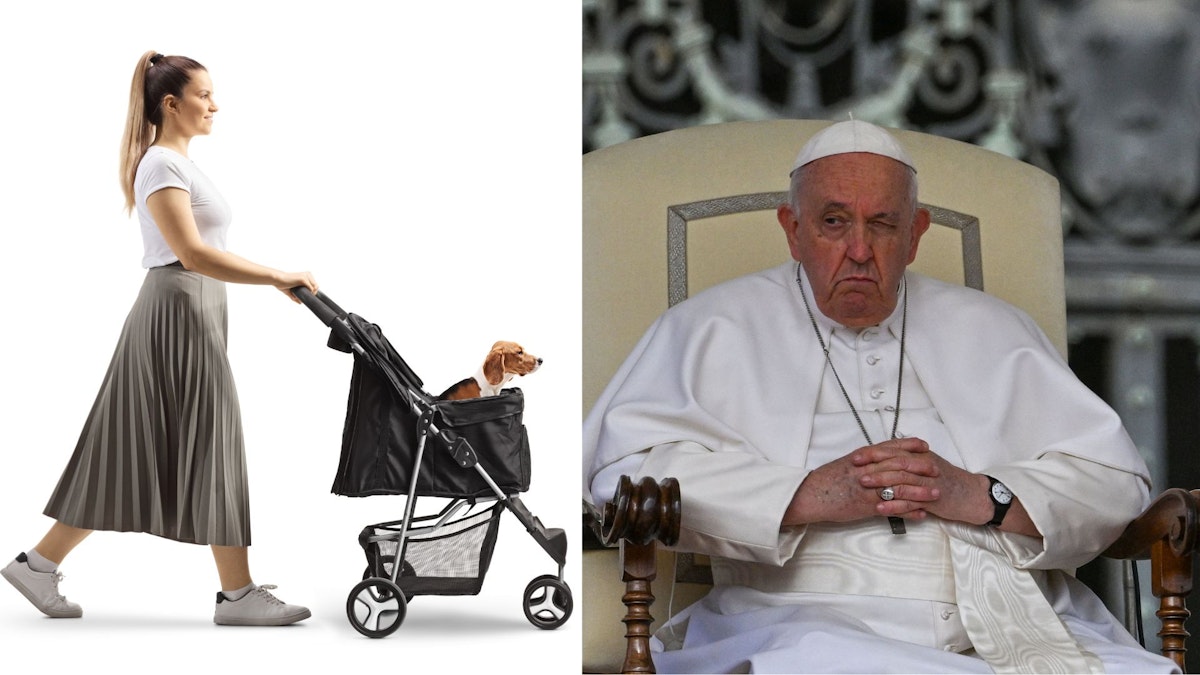 Amen! Pope Francis Smacks Down ‘Dog Moms’ 