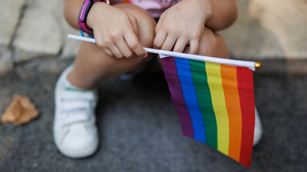 NextImg:Virginia Dept. of Health Removes “Queer Kid Stuff,” Youth LGBT Resource List, Following Daily Wire Report