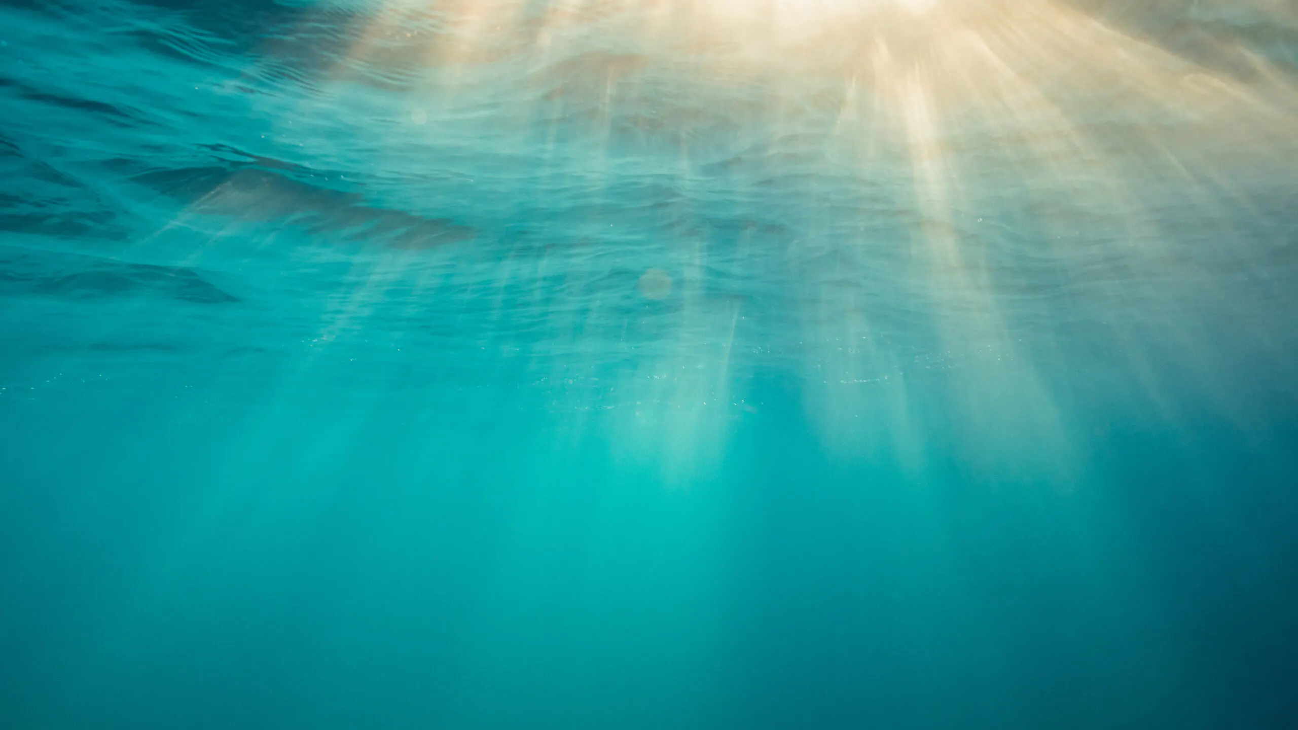 3,000-Year-Old Shipwreck To Be Pulled From Sea And ‘Studied In Detail’