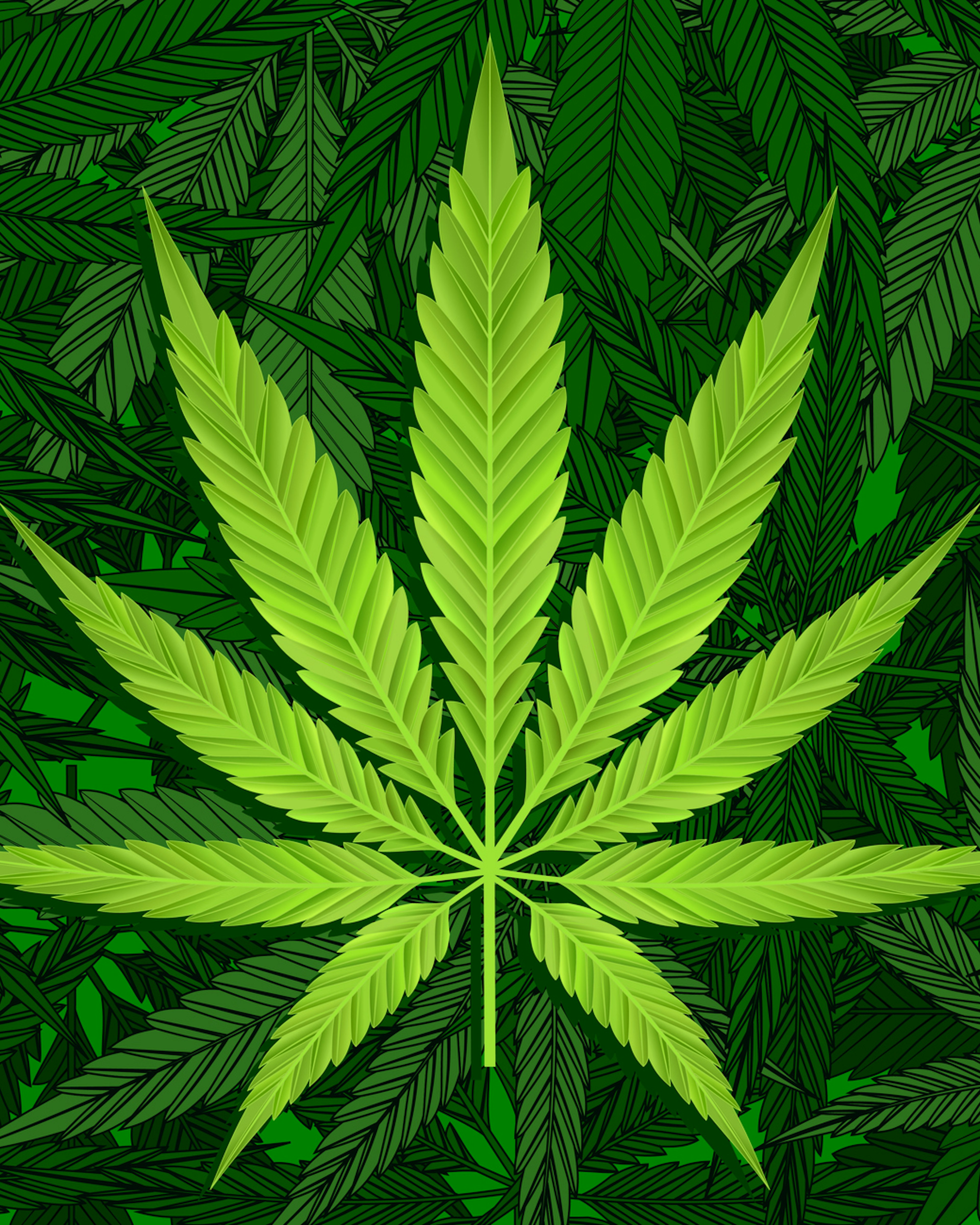 Mikhail Sokolov. Getty Images. Green cannabis leaves pattern.