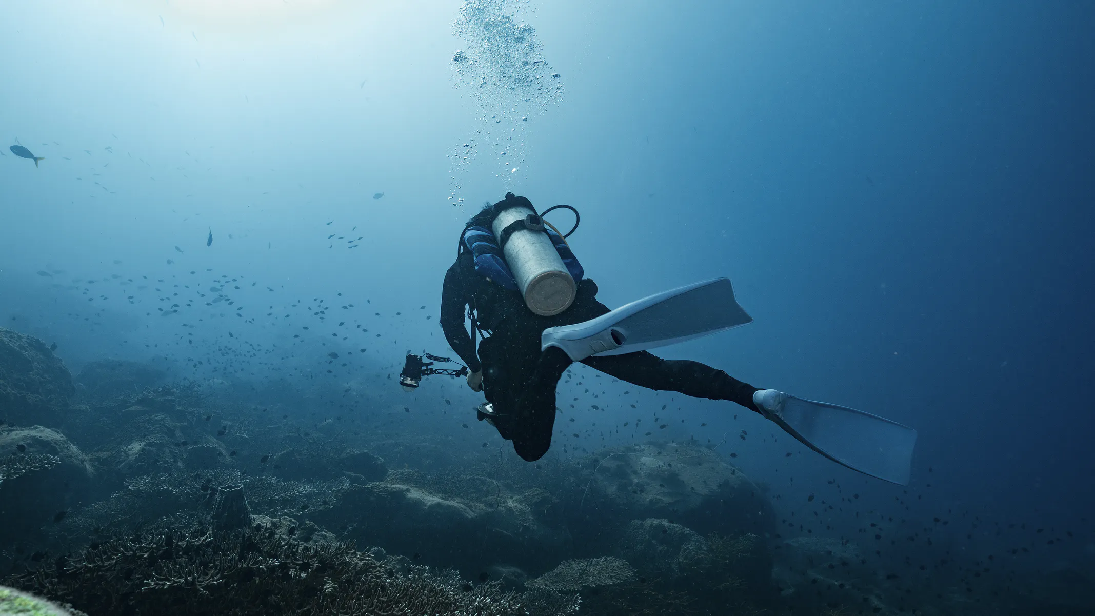 OceanGate CEO Told Customer Titan Expedition Was Safer Than Scuba Diving