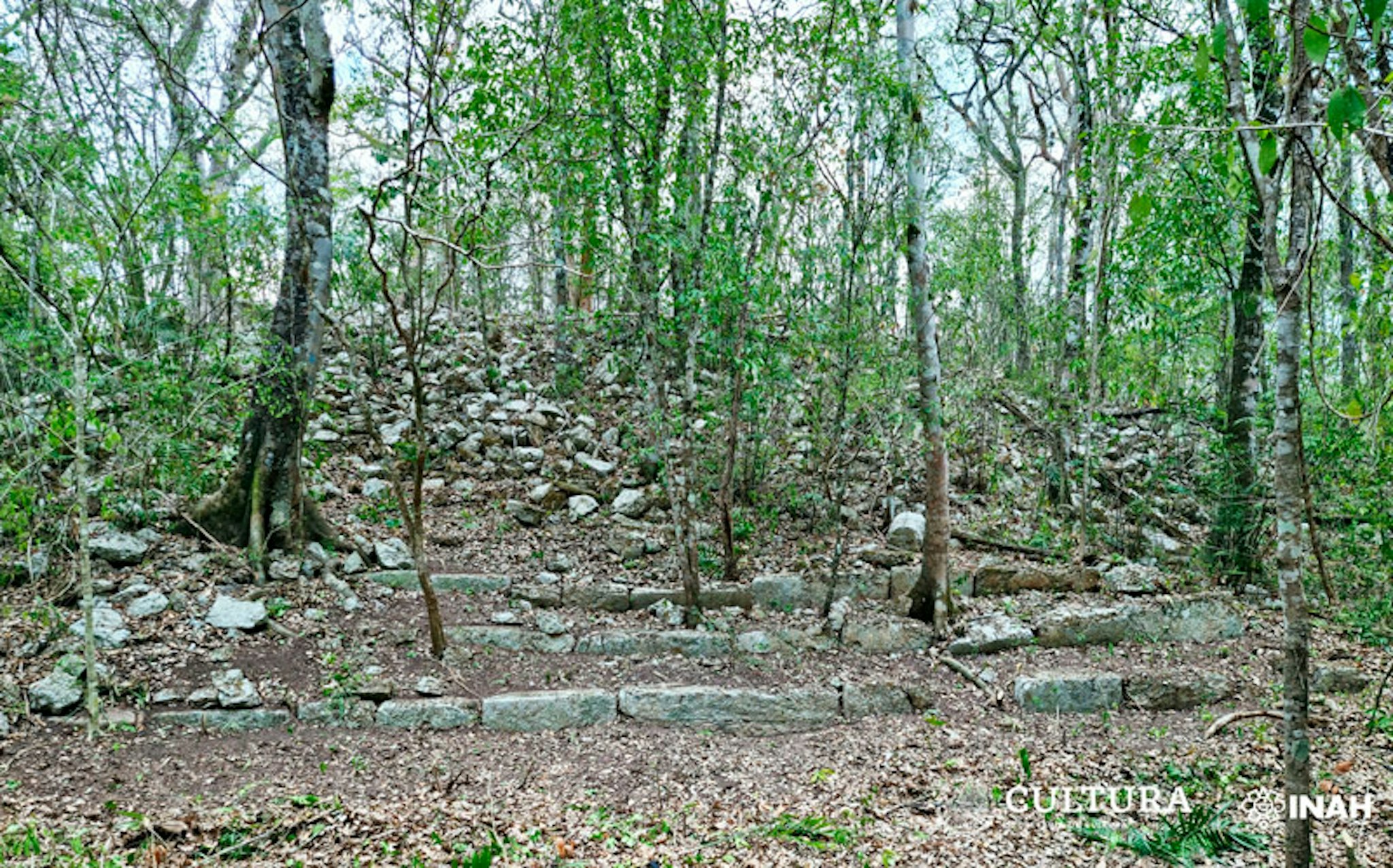 Lost Mayan City Staircase Building