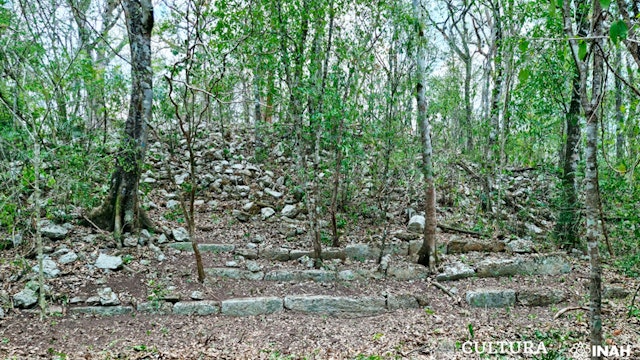 Lost Mayan City Staircase Building