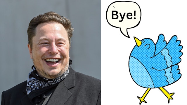 Elon Musk, Twitter bird