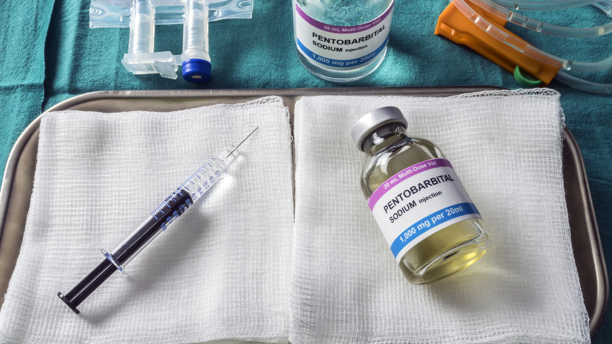 Canadian In Severe Pain After Trans Surgery, Asks Government To Be Euthanized. Gets Rejected.