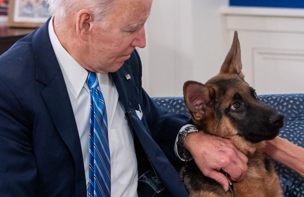 White House blames stress for Biden’s dog’s biting spree.