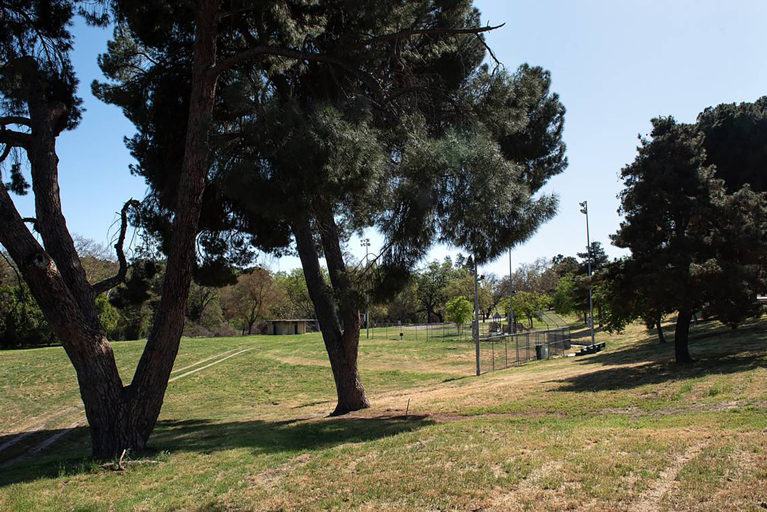 Landscaper accidentally kills homeless woman sleeping in California park.