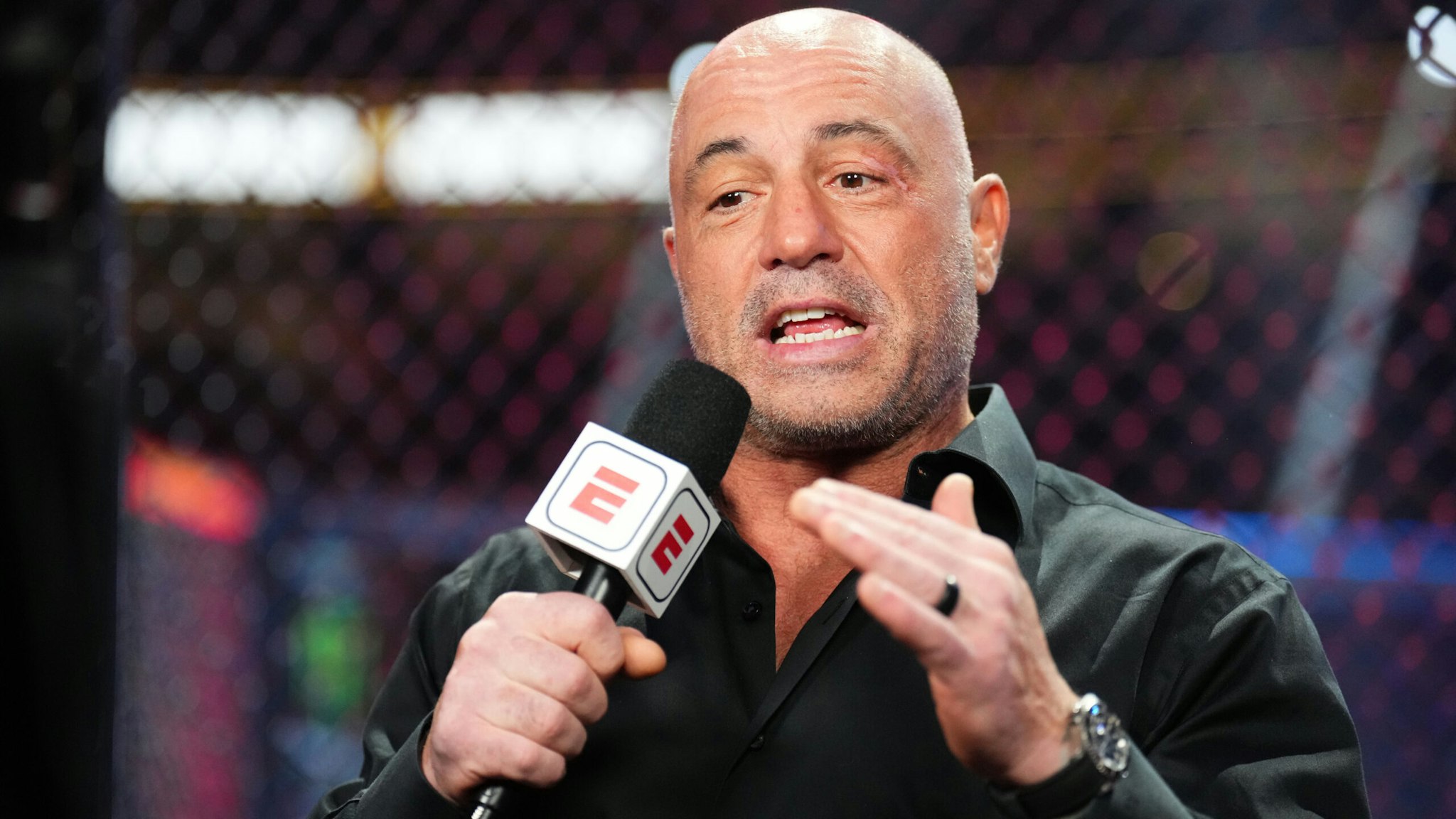 LAS VEGAS, NEVADA - JULY 08: Joe Rogan announces the fight during the UFC 290 event at T-Mobile Arena on July 08, 2023 in Las Vegas, Nevada.