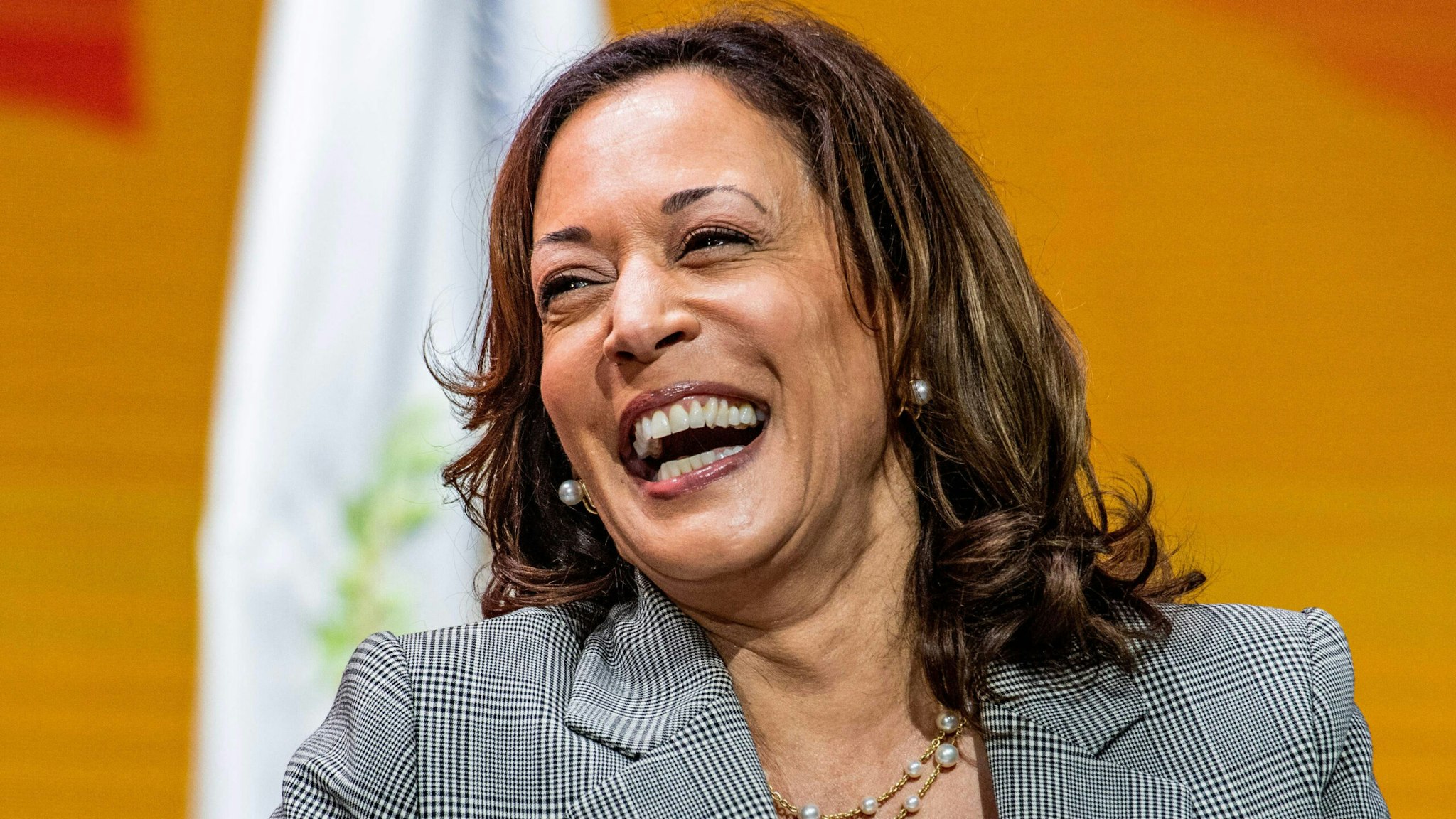 US Vice President Kamala Harris speaks at the Public Mass Meeting during the 114th National Association for the Advancement of Colored People (NAACP) National Convention in Boston, Massachusetts, on July 29, 2023.