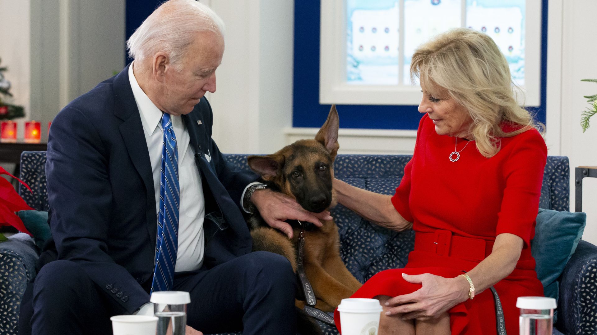 Peanut The Squirrel Never Hurt Anyone. That’s More Than You Can Say About Biden’s Dogs.