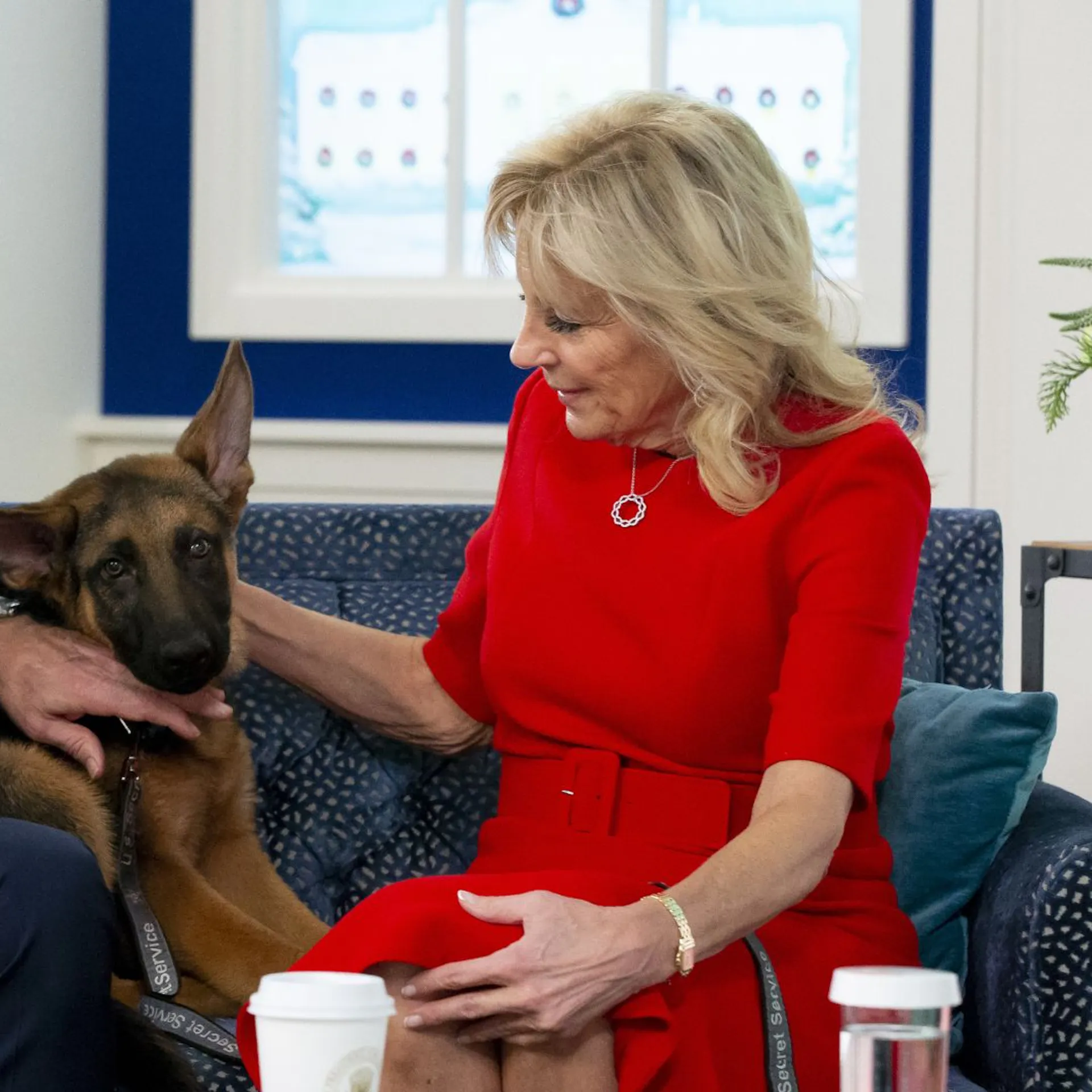 Bad Dog, Or Bad Owner? Biden’s Dog Can’t Stop Biting People, Records Show
