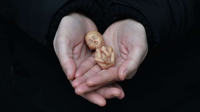 BELFAST, NORTHERN IRELAND - APRIL 07: A Pro Life campaigner displays a plastic doll representing a 12 week old foetus as she stands outside the Marie Stopes Clinic on April 7, 2016 in Belfast, Northern Ireland.