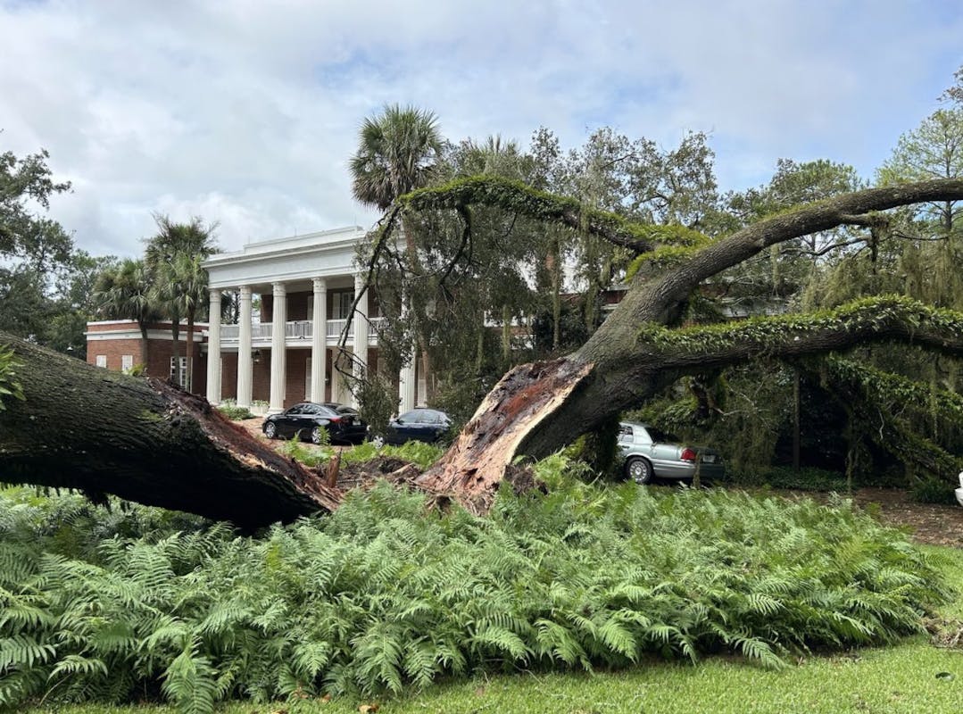 NextImg:100-Year-Old Oak Tree Falls On Florida Governor’s Mansion