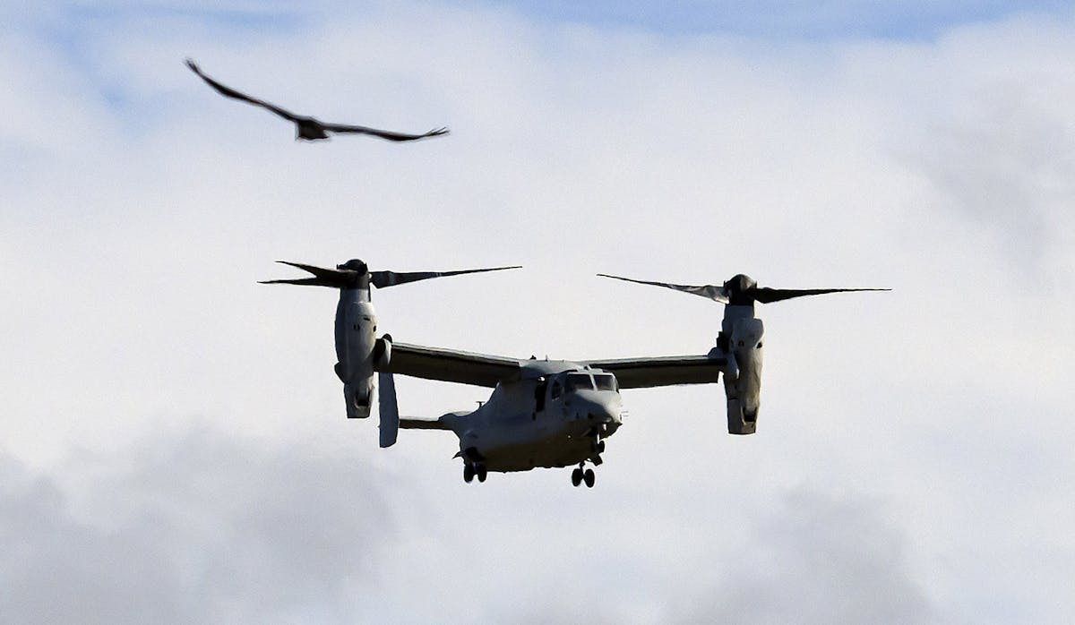NextImg:3 U.S. Marines Killed, Several Injured During Training Exercise In Australia