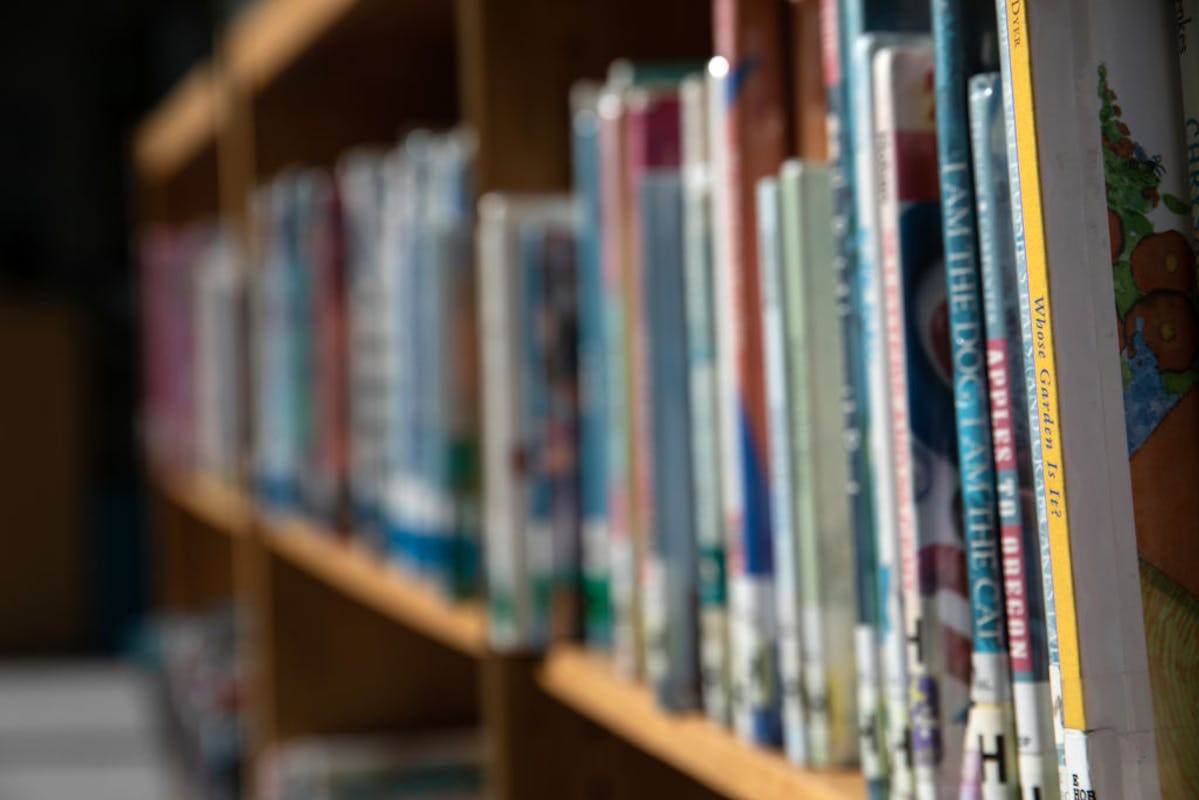 NextImg:Virginia Library Director Resigns After Parents Called For Defunding Over ‘Pornographic’ Children’s Books
