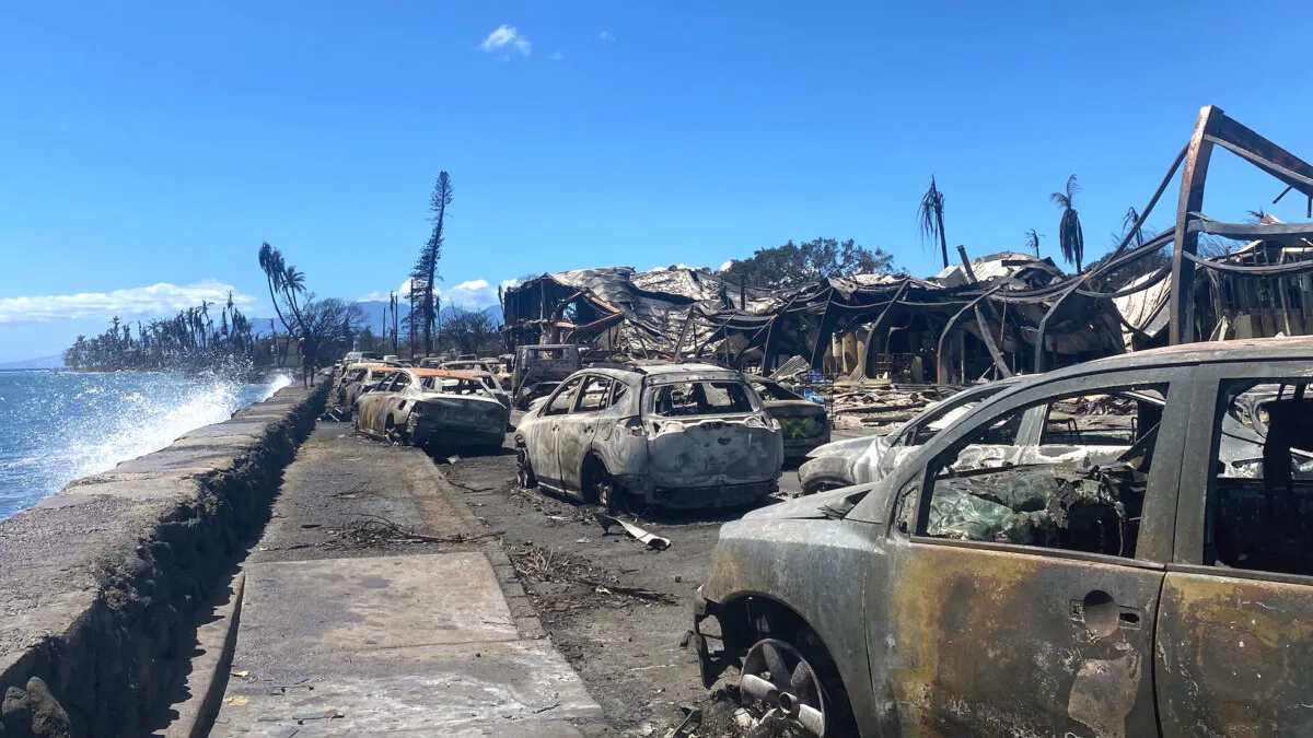 Only Fraction Of Dead Maui Wildfire Victims Identified As Remains ‘Fall Apart’