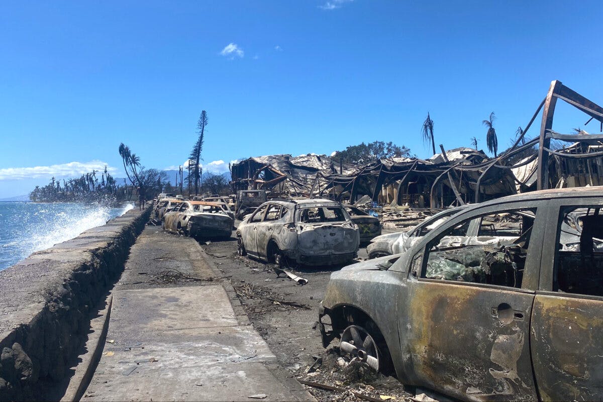 NextImg:Only Fraction Of Dead Maui Wildfire Victims Identified As Remains ‘Fall Apart’
