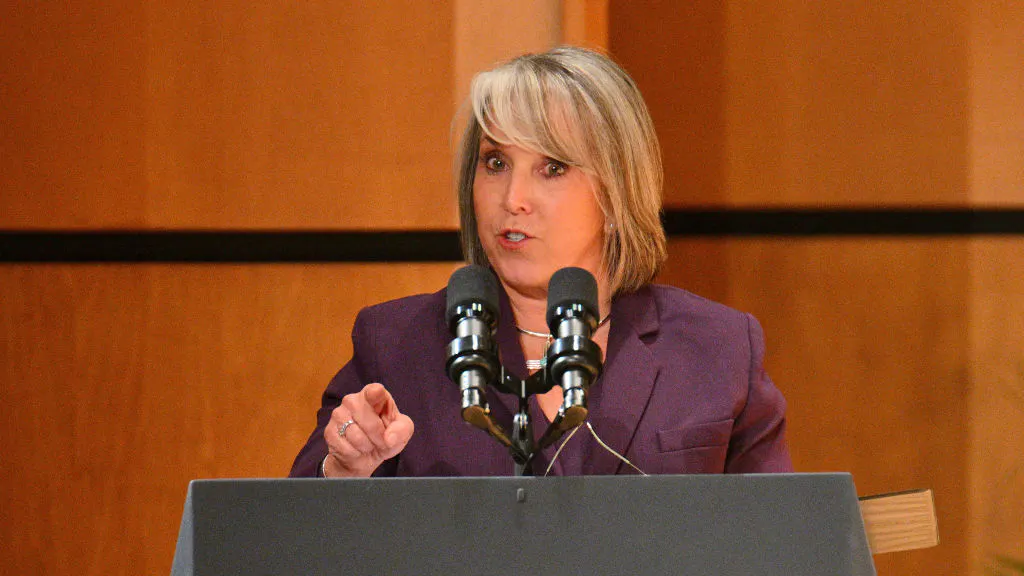 Tyrannical Leftist Woman Tries To Abolish The Second Amendment