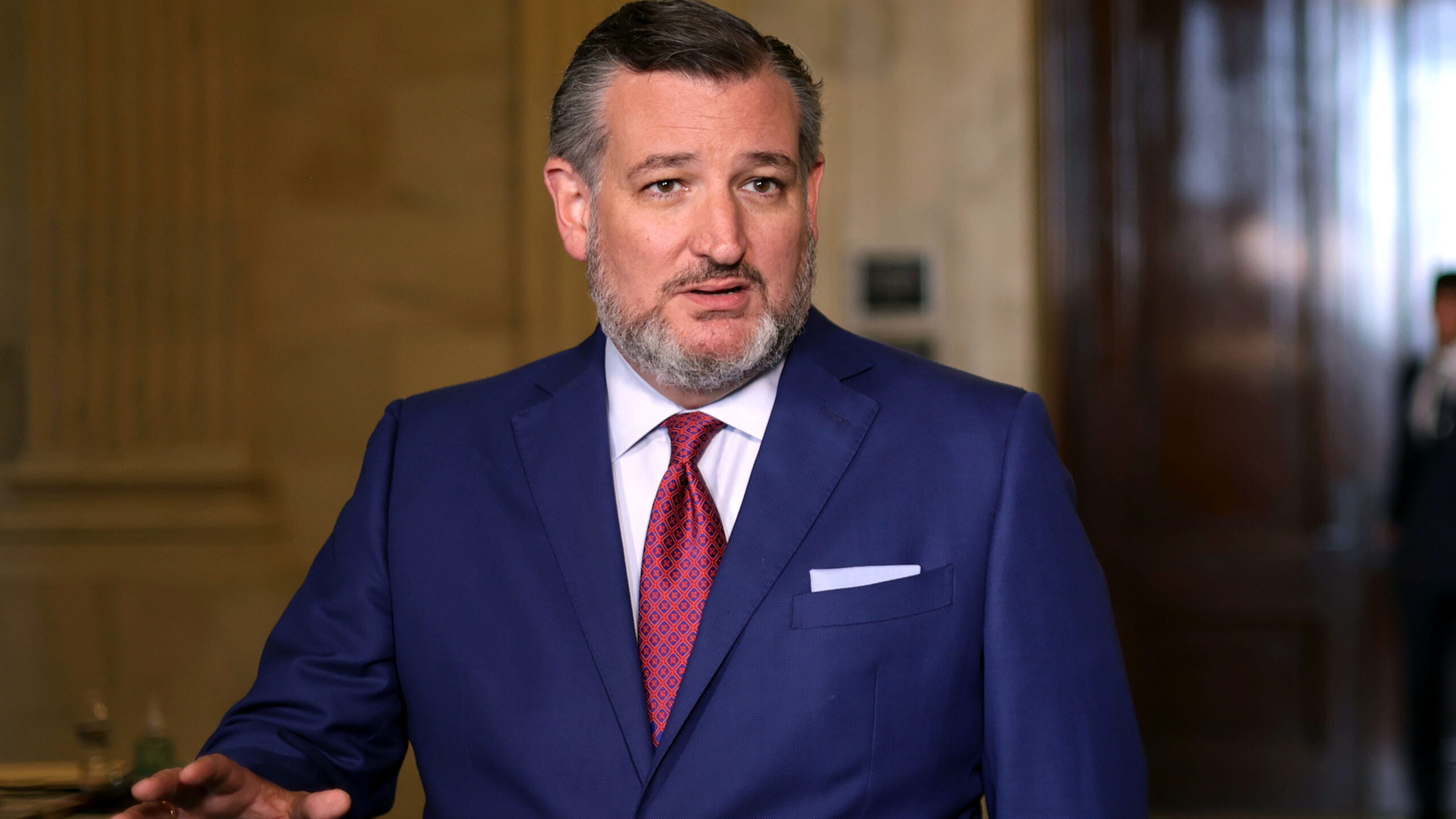 Ted Cruz  The Daily Wire