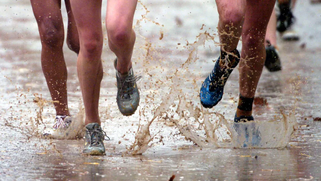 Trans-Identifying Male Wins Girls Cross Country Regional