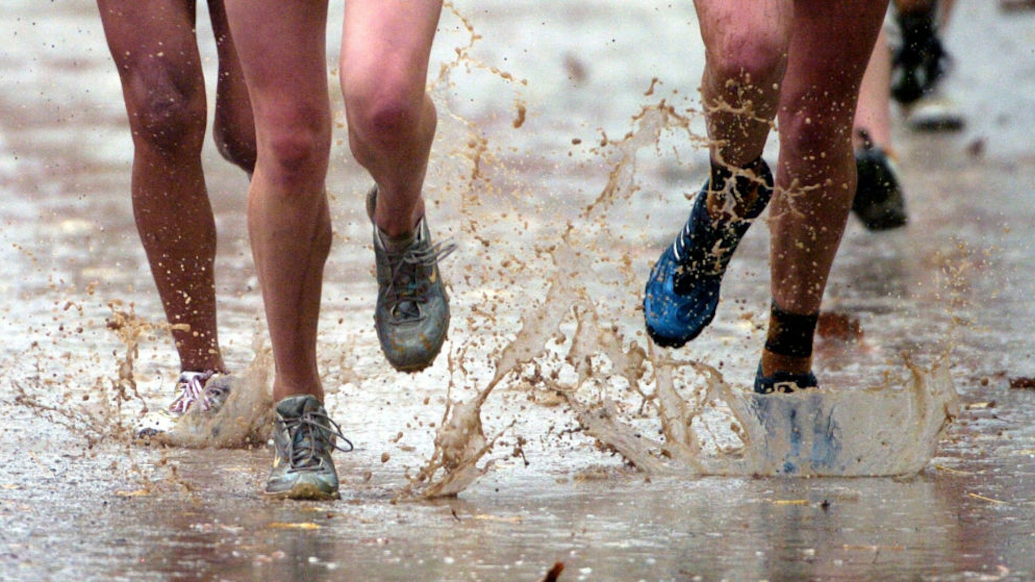 Competitors in the girls Division V race in the CIF-State Cross Country championships run through puddles of water at Woodward Park in Fresno, Calif. on Saturday, Nov. 27, 2004. (Photo by Kirby Lee/WireImage)