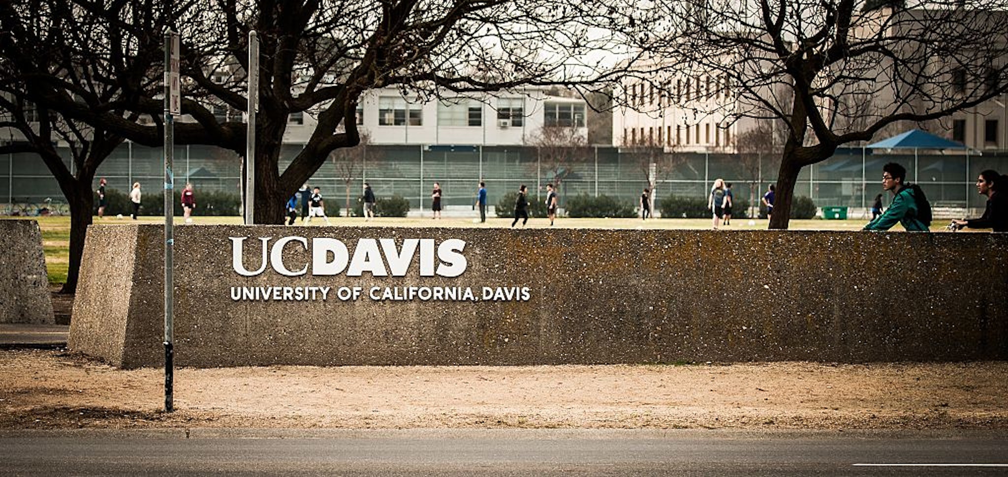 University of California at Davis. Davis, California. Taken February 2, 2015.