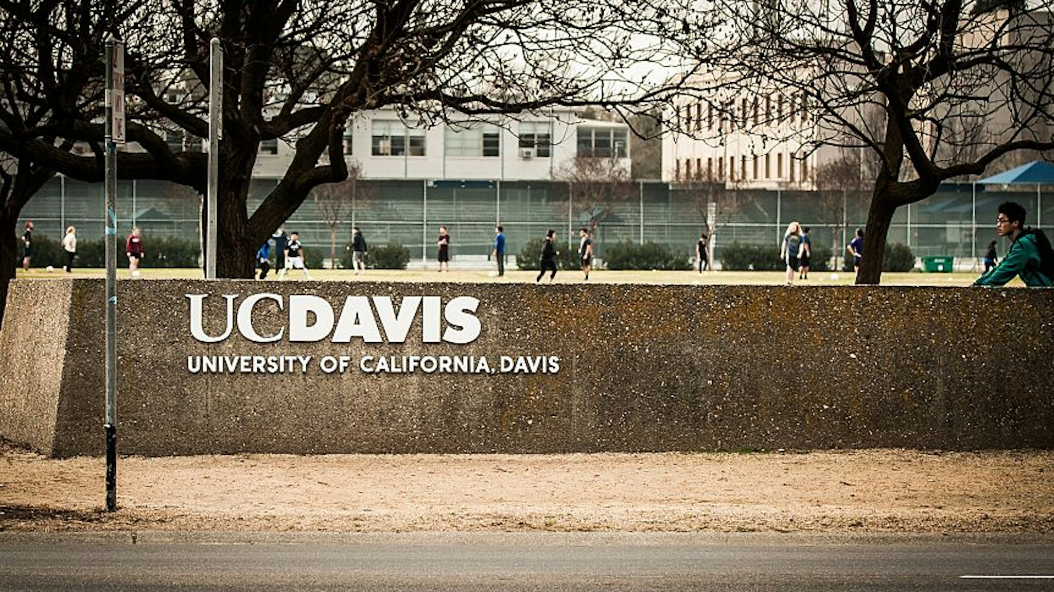 University of California at Davis. Davis, California. Taken February 2, 2015.