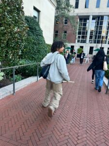 The alleged attacker was seen carrying a wooden stick