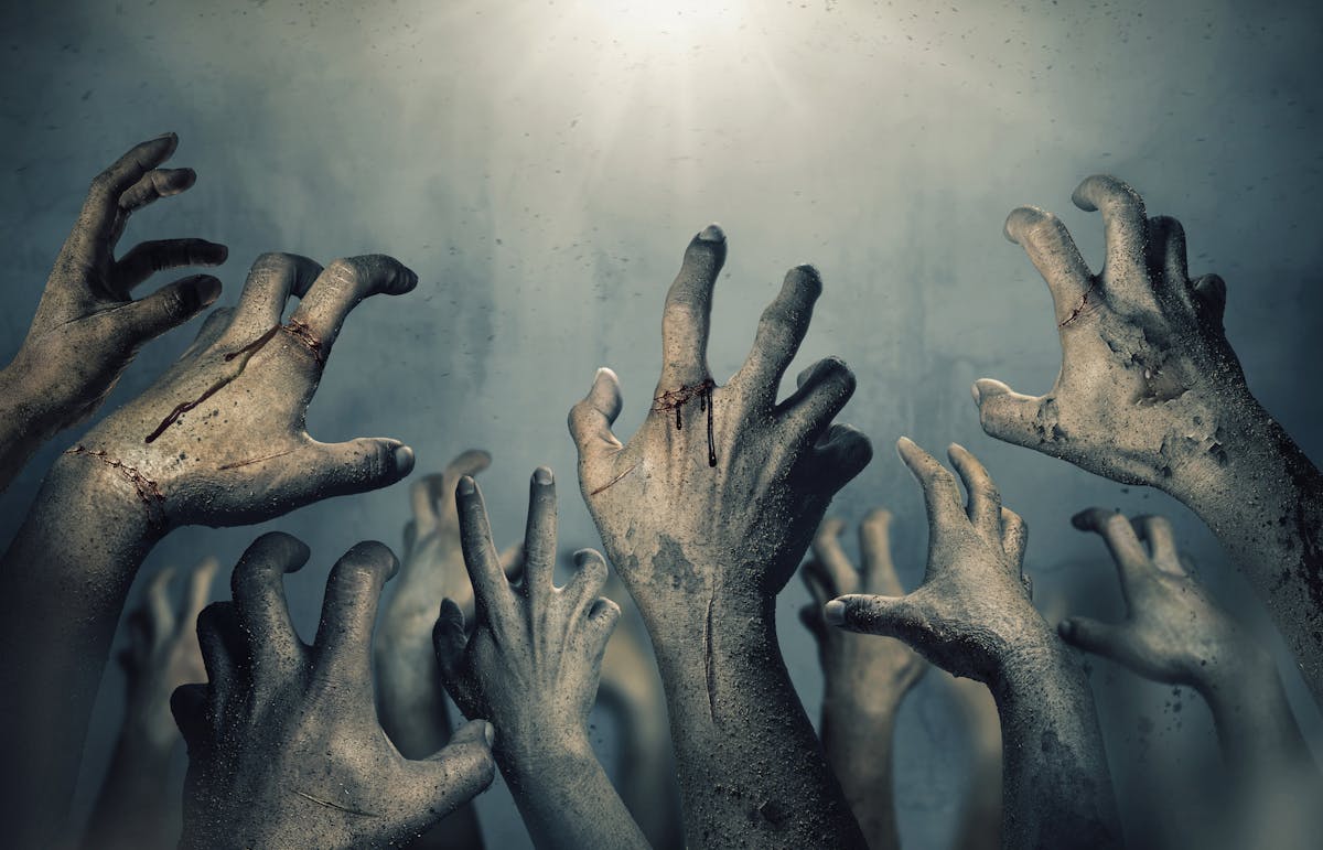 NextImg:Brain-Eating Zombie Apocalypse Overtakes Government And Media