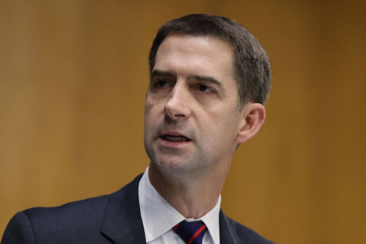 NextImg:Tom Cotton: Hamas ‘Contemptuous’ Of Biden
