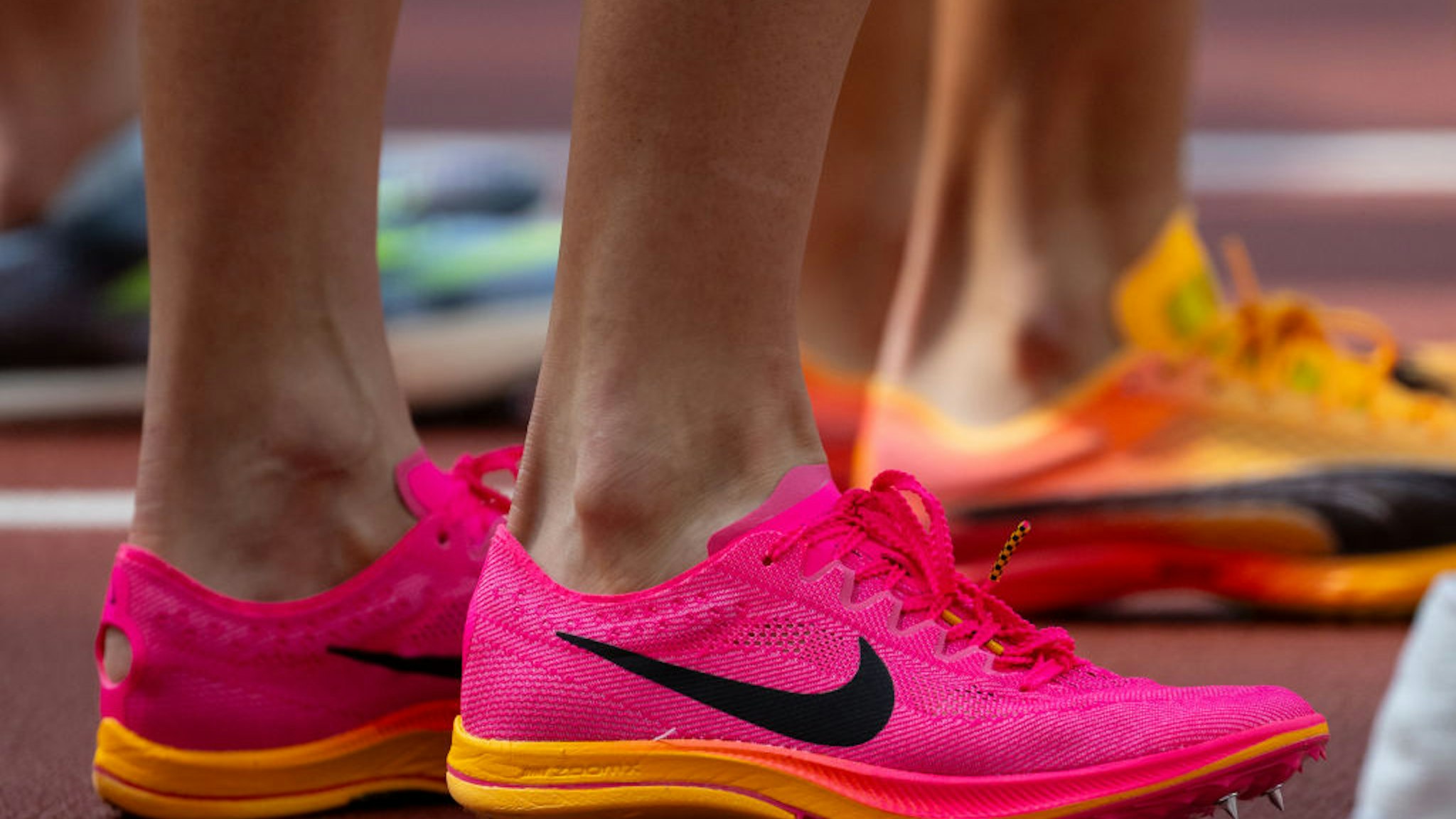 19 August 2023, Hungary, Budapest: Athletics: World Championship, 1500m, Women, Preliminary heat, at the National Athletics Center. The participants are at the start. Photo: Sven Hoppe/dpa (Photo by Sven Hoppe/picture alliance via Getty Images)