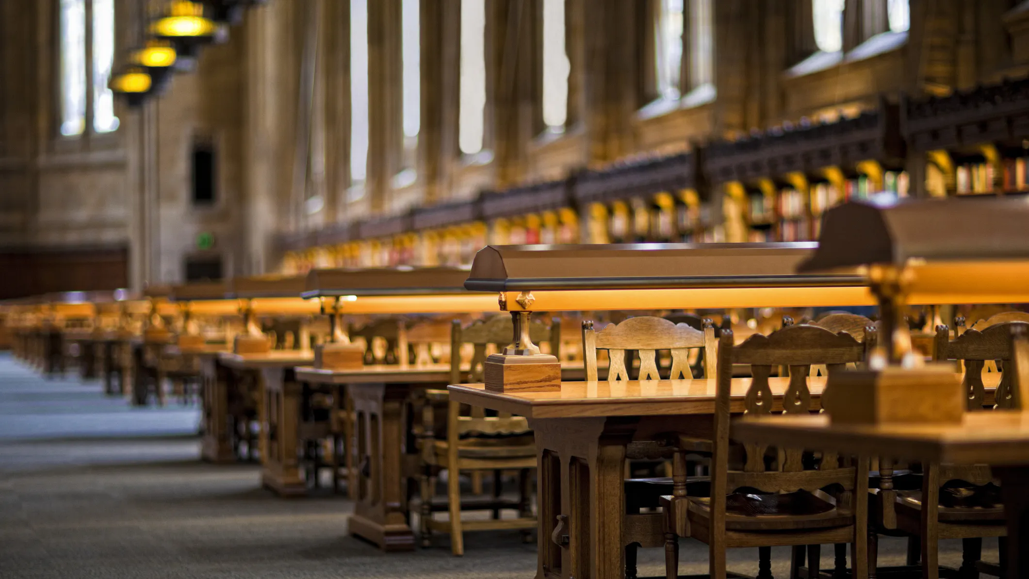 New Report Uncovers The Sad State Of History Classes At American Universities