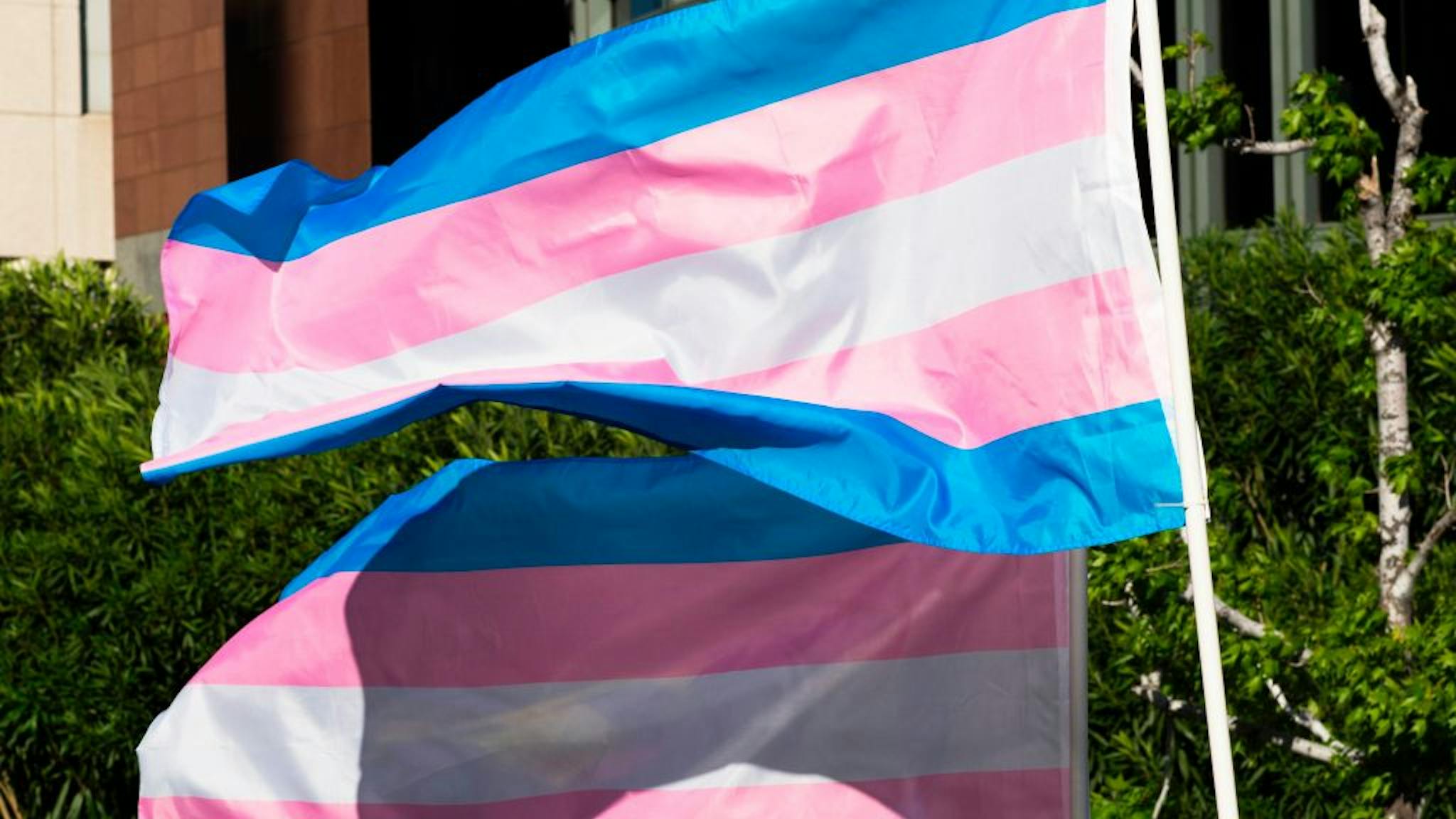 US-TRANSGENDER-DAY-OF-VISIBILITY-GENDER Trans pride flags flutter in the wind at a gathering to celebrate International Transgender Day of Visibility, March 31, 2017 at the Edward R. Roybal Federal Building in Los Angeles, California. International Transgender Day of Visibility is dedicated to celebrating transgender people and raising awareness of discrimination faced by transgender people worldwide. / AFP PHOTO / Robyn Beck (Photo credit should read ROBYN BECK/AFP via Getty Images)
