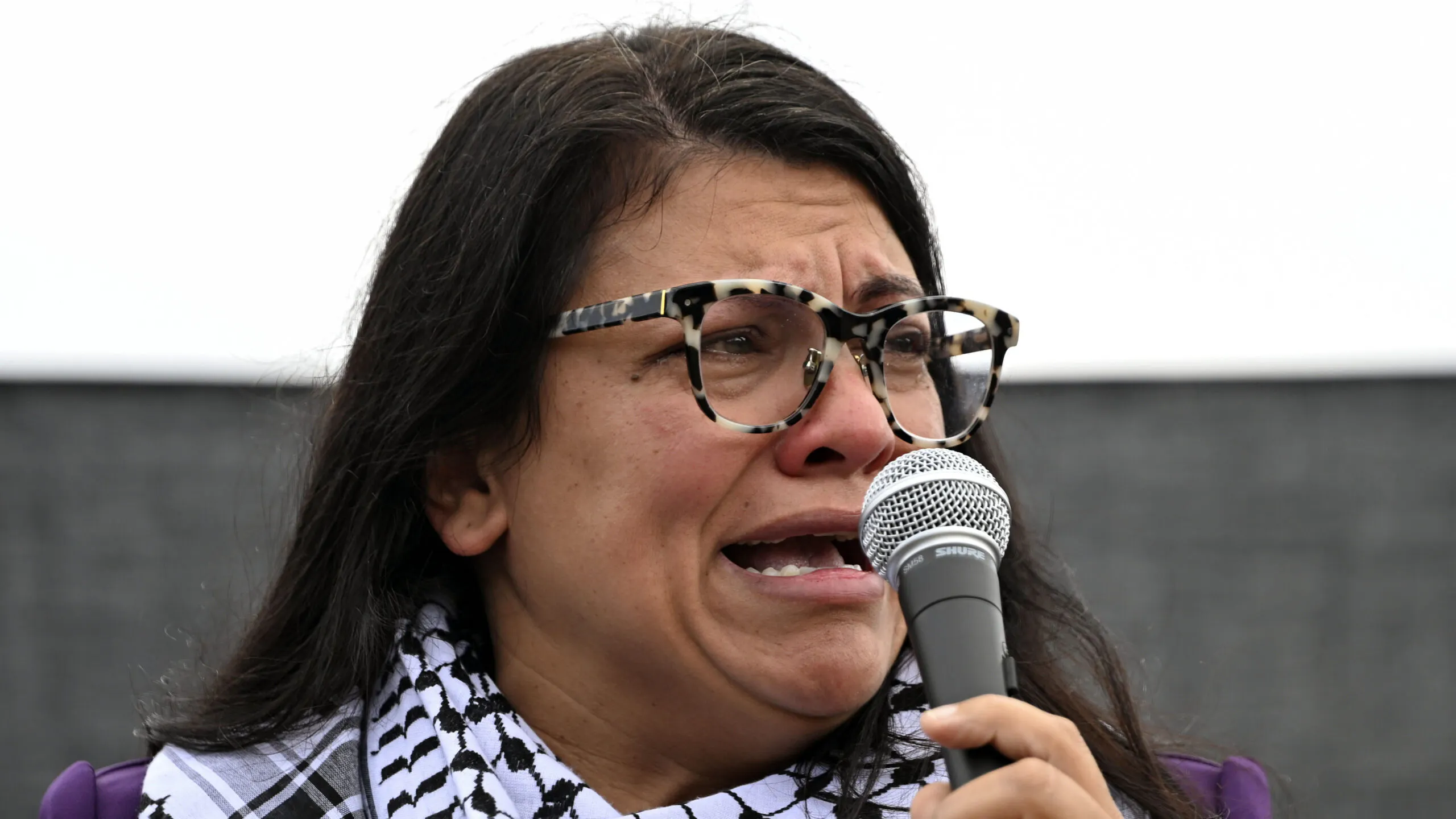 Michigan Democrats Slam Rashida Tlaib After She Supports Genocide Against Israel