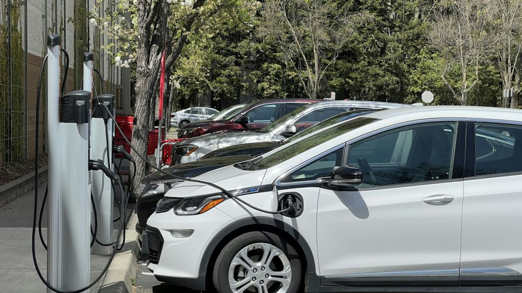 A row of electric vehicles is plugged in and charging at public electric vehicle charging stations in San Ramon, California, April 5, 2023. (Photo by Smith Collection/Gado/Getty Images)