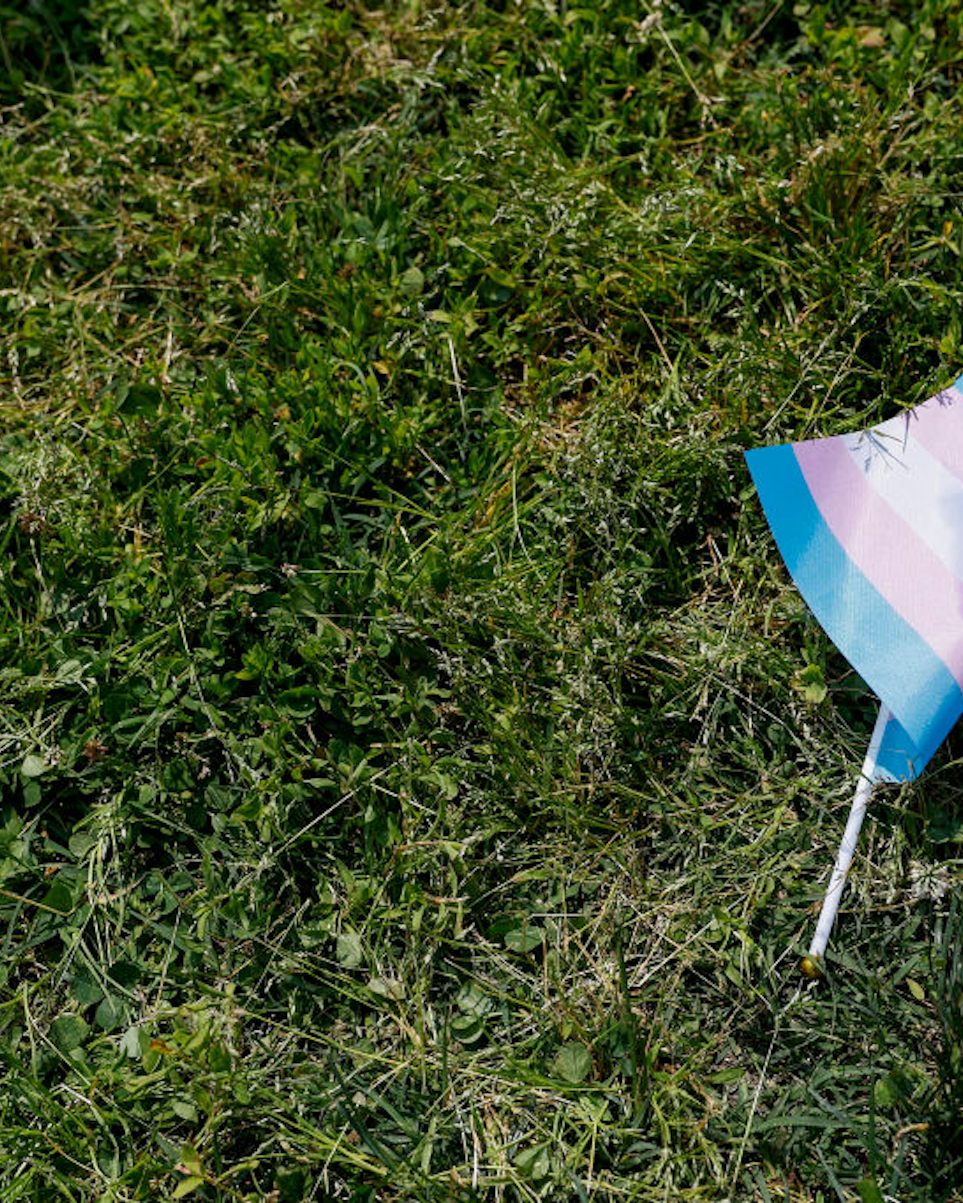 WASHINGTON, DC - MAY 22: A transgender flag sits on the grass during the "Trans Youth Prom" outside of the U.S. Capitol building on May 22, 2023 in Washington, DC. Trans and non-binary youth gathered to hold a Prom-like event that included music, dancing, and speeches. After the Prom, the kids and their families marched to the U.S. Supreme Court Building. (Photo by Anna Moneymaker/Getty Images)