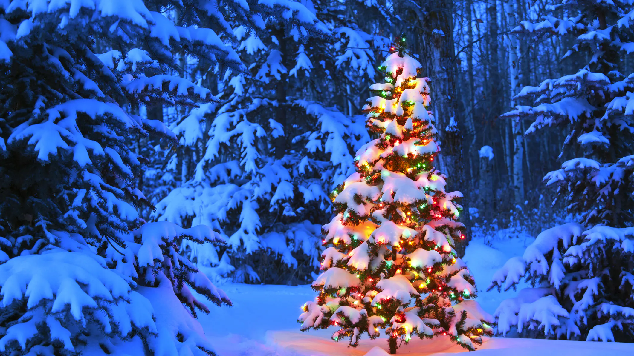 5 Of The Best Christmas Songs To Warm Your Cold Heart