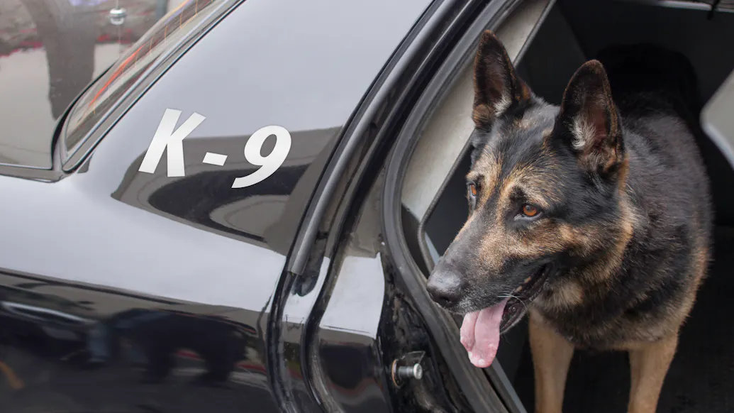 Controversy Erupts When Cop Leaving Job Wants To Keep K9, Police Chief Refuses