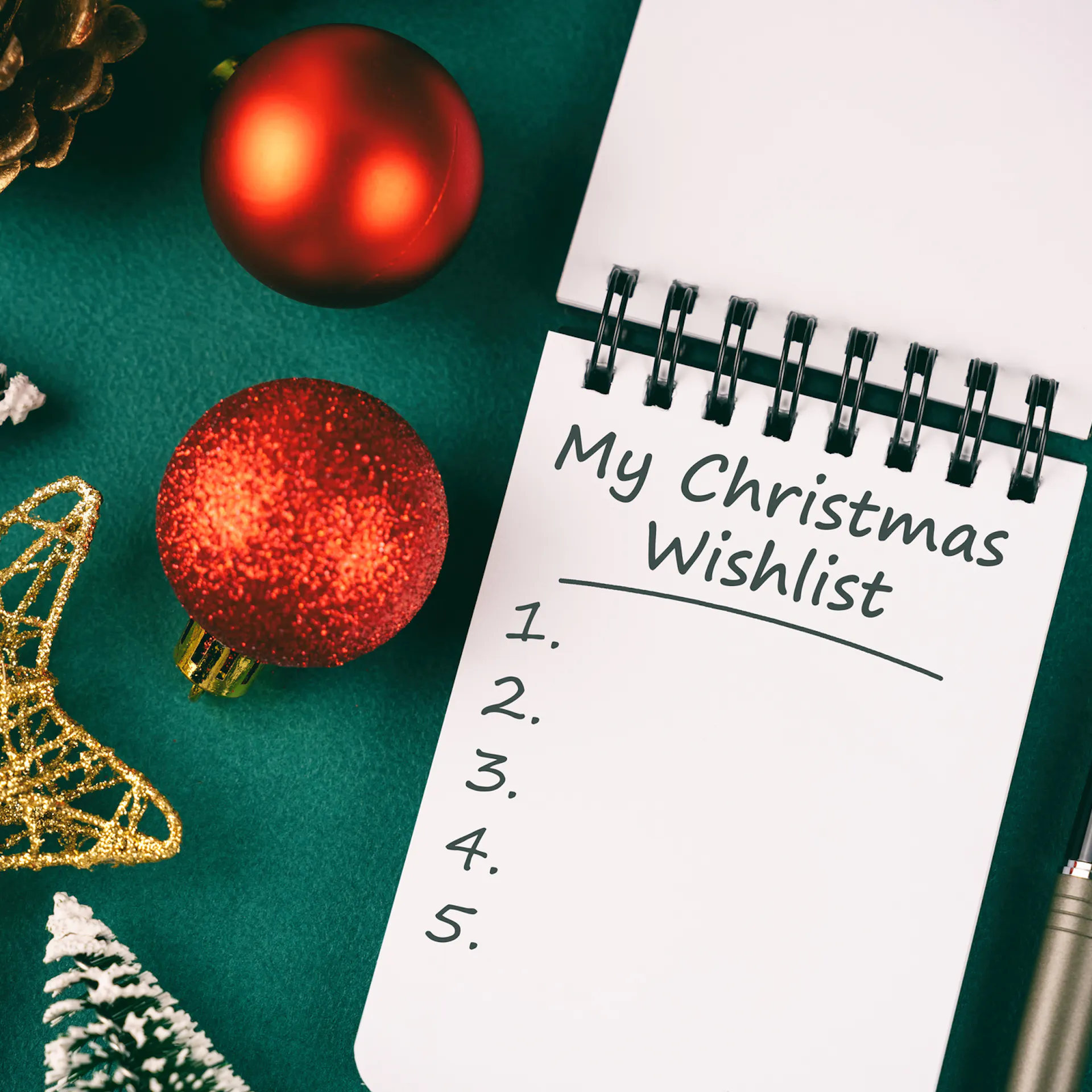 I Put Together My Own Grown-Up Christmas List