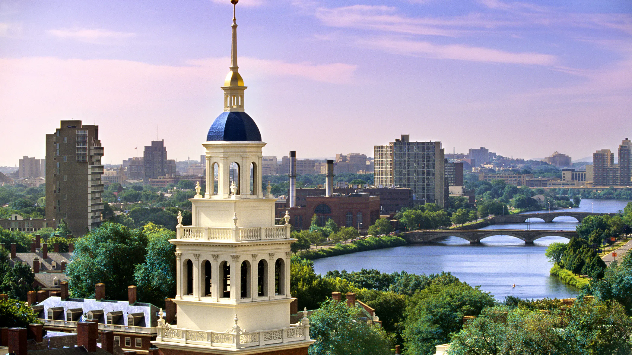 Dr. Carol Swain On Plagiarism And Anti-Semitism At Harvard