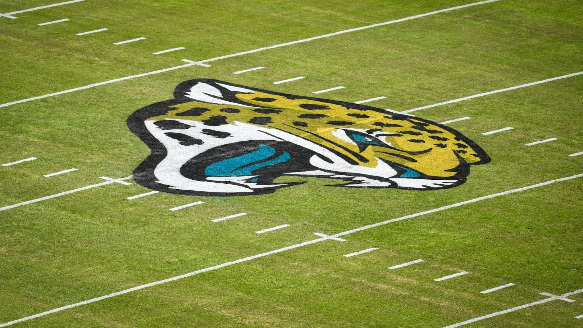 A general view of the Jaguars' logo prior to the first half of an NFL game between the Pittsburgh Steelers and the Jacksonville Jaguars on November 18, 2018, at TIAA Bank Field.