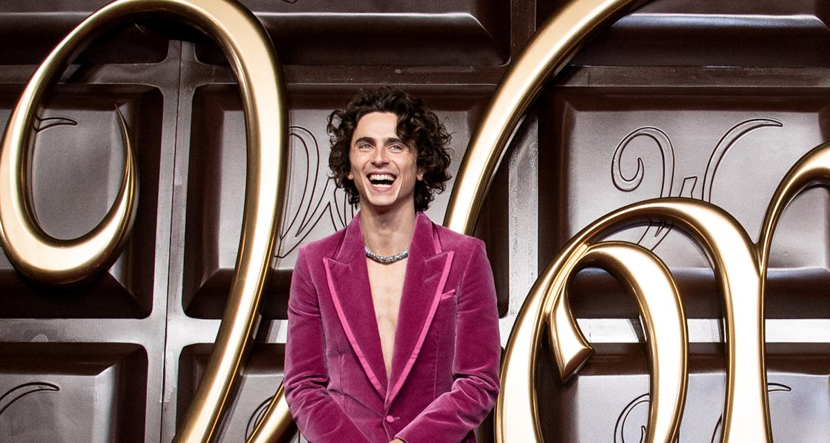 NextImg:Timothée Chalamet Explains What Convinced Him ‘Wonka’ Movie Wasn’t A ‘Cynical Money Grab’ 