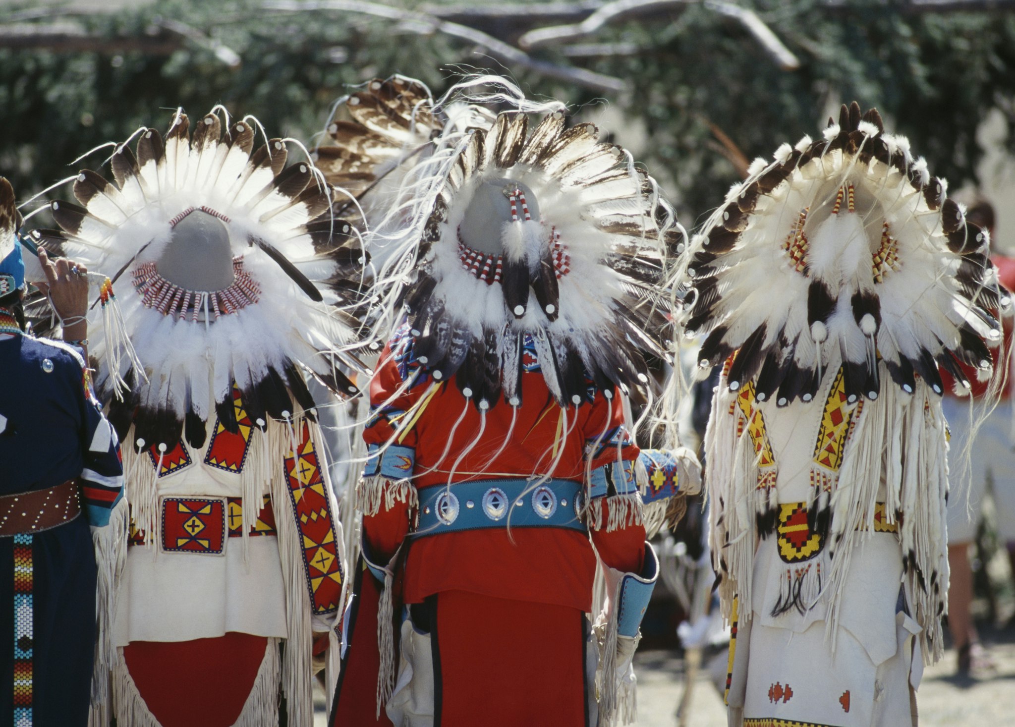 Rear view of three chief's head dresses of eagle feathers.