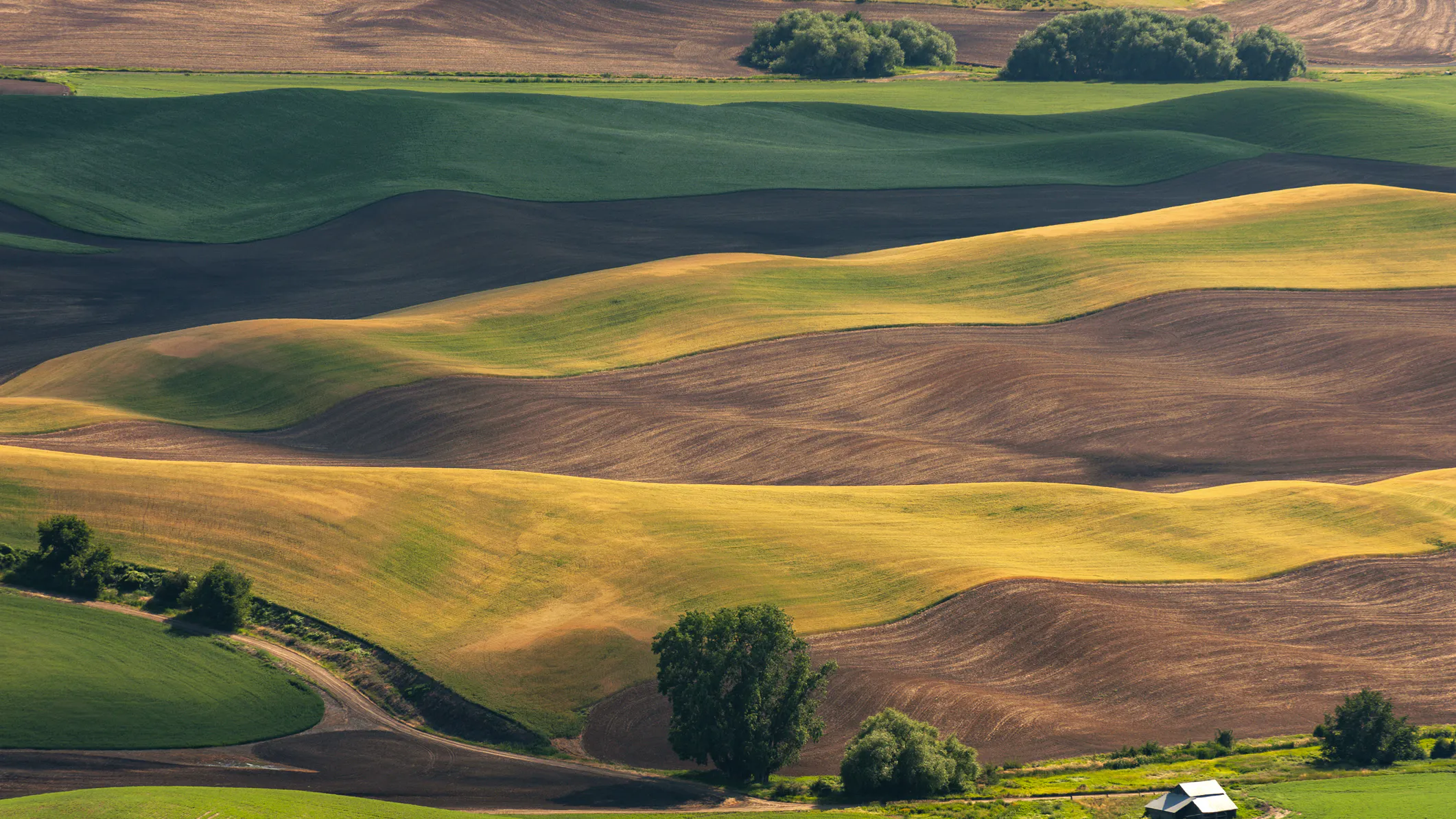 Report Finds Major Flaws With How Government Tracks Foreign Ownership Of Farmland