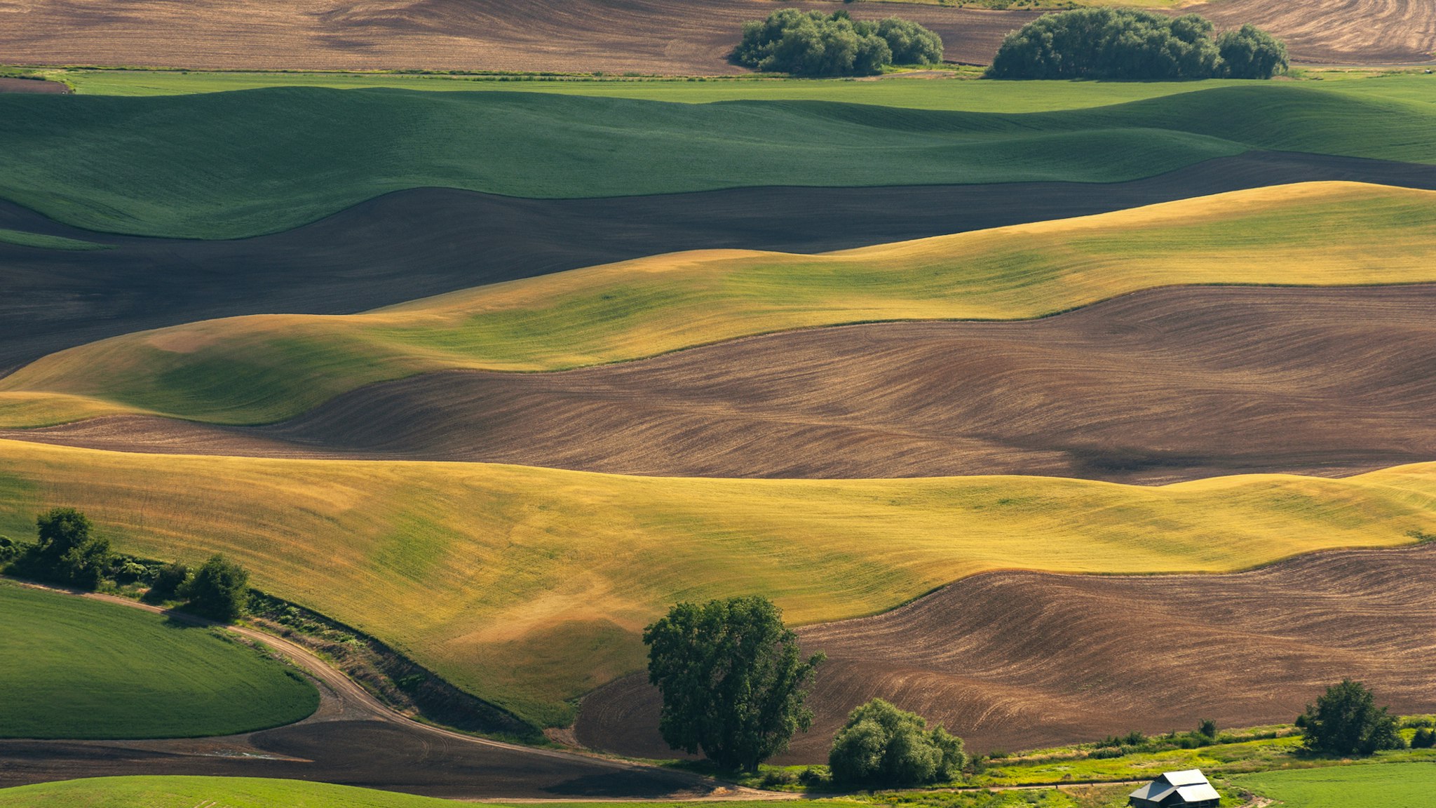 High above the Palouse Hills on the eastern edge of Washington, Steptoe Butte offers unparalleled views of a truly unique landscape.