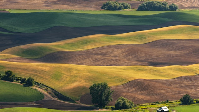 High above the Palouse Hills on the eastern edge of Washington, Steptoe Butte offers unparalleled views of a truly unique landscape.