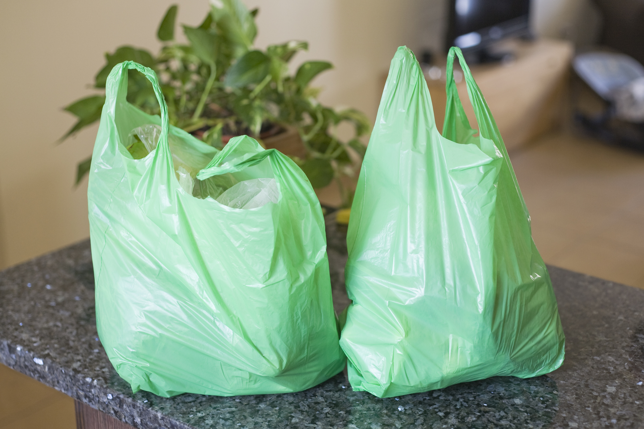 NJ’s plastic ban failed, says report