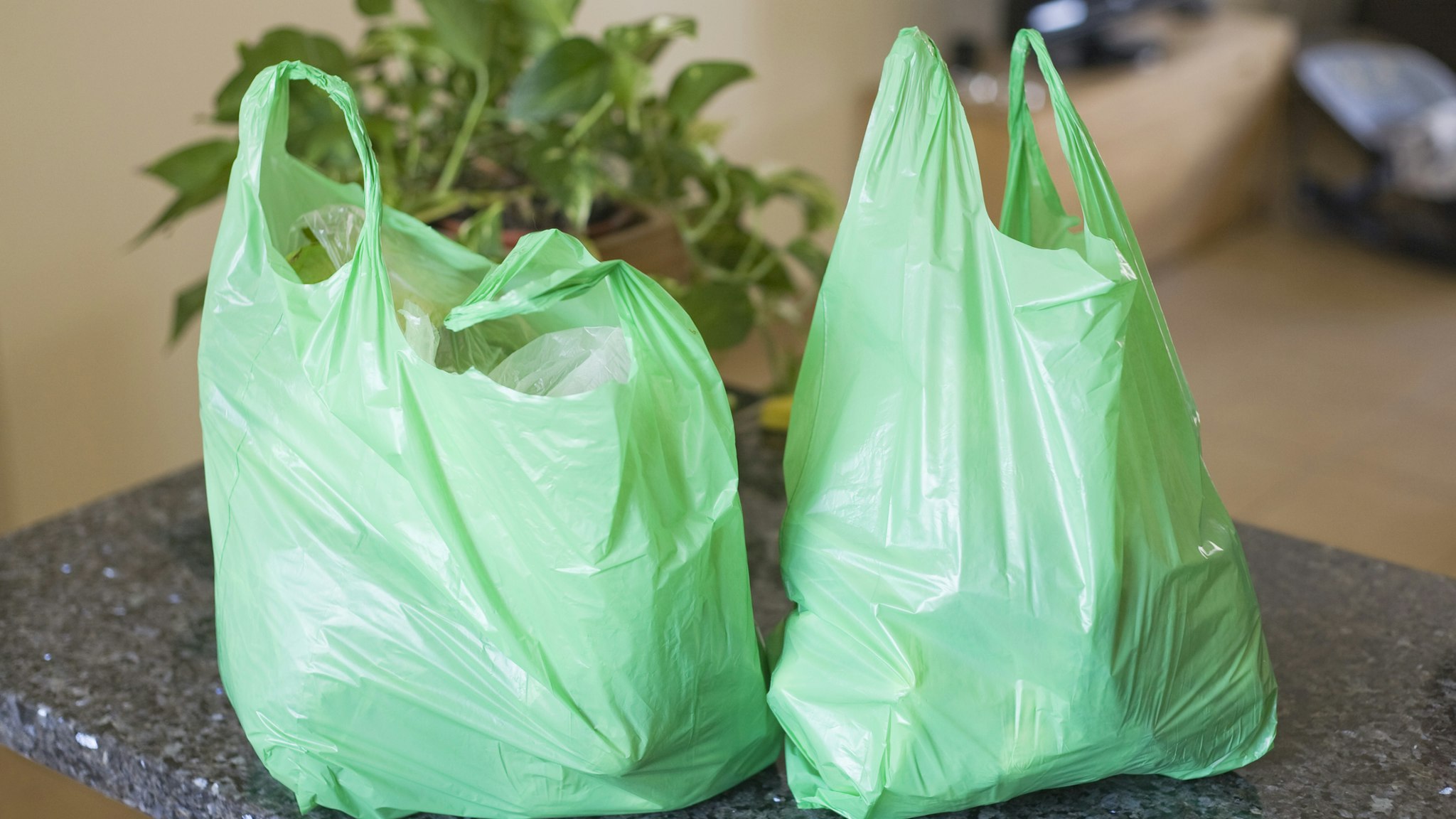 Green plastic bags on kitchen worktop.