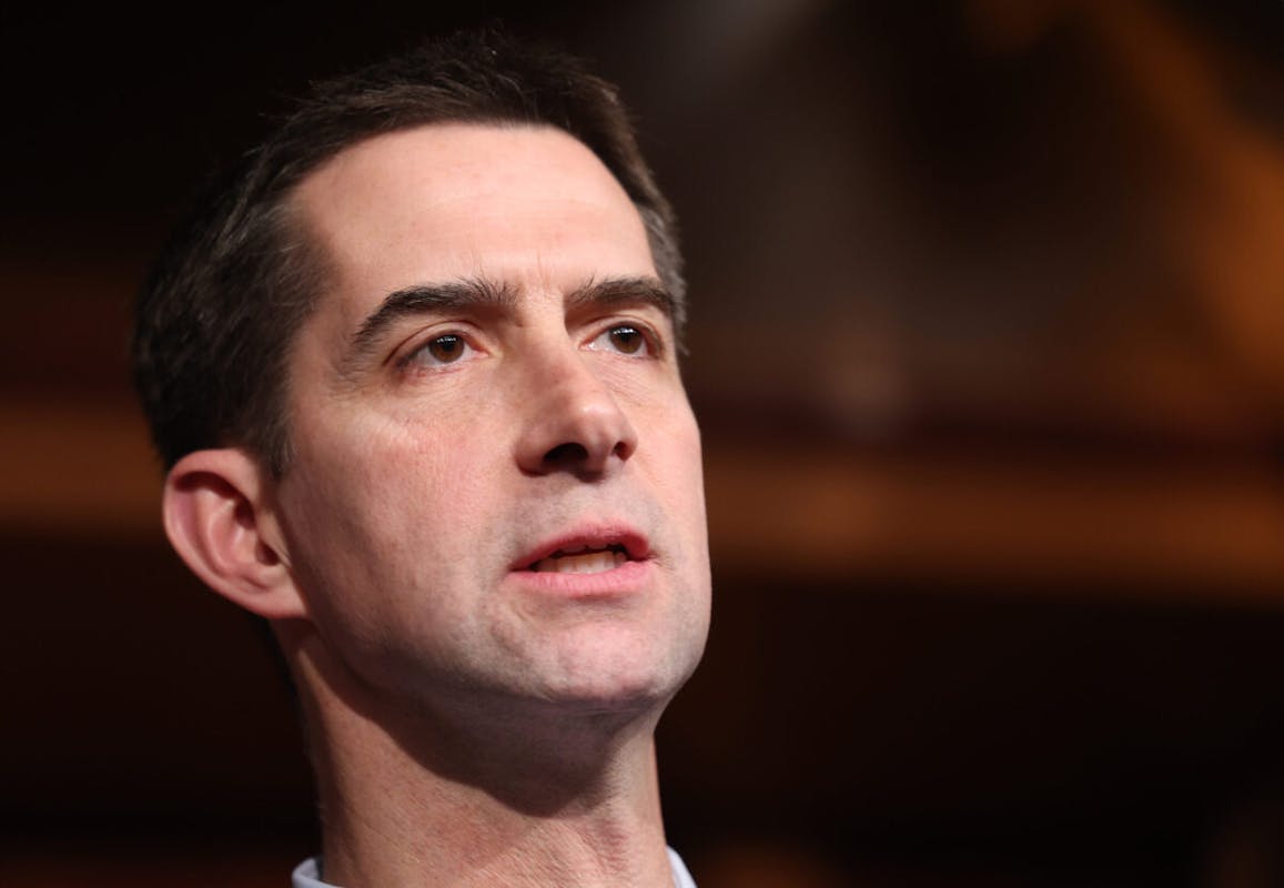NextImg:Sen. Tom Cotton Endorses Trump For 2024 White House Run 